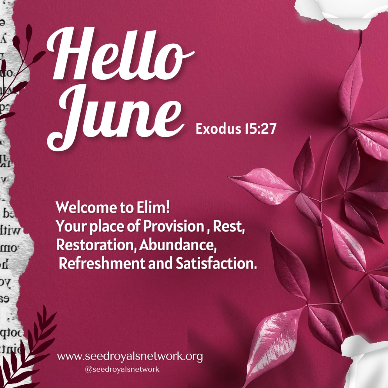 Hello June - Welcome to Elim - Exodus 15:27